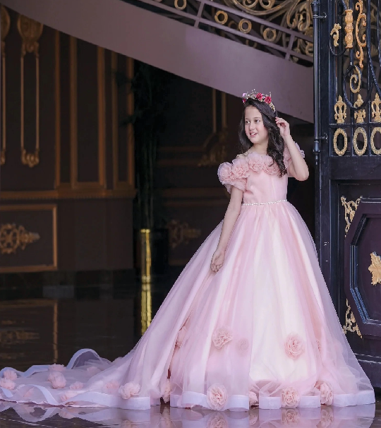 Alice Rose Dream Gown Baby Pink Net Dress for Girls